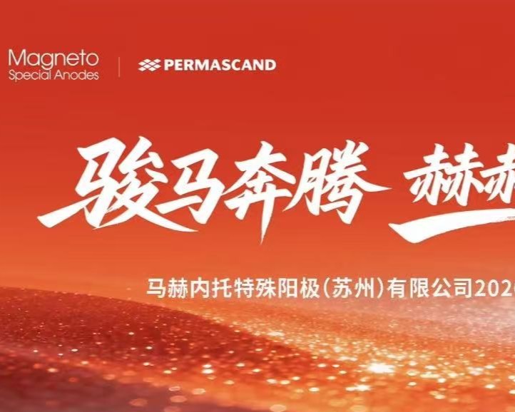 骏马奔腾，赫赫新程 | 马赫内托2026年迎新晚会圆满落幕